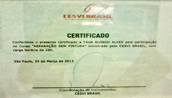 Cesvi Brasil