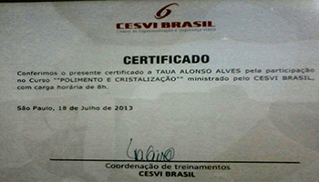Cesvi Brasil